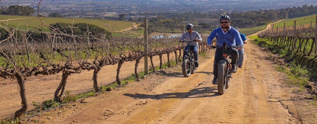 Kaapstad: Winelands e-bike-tour