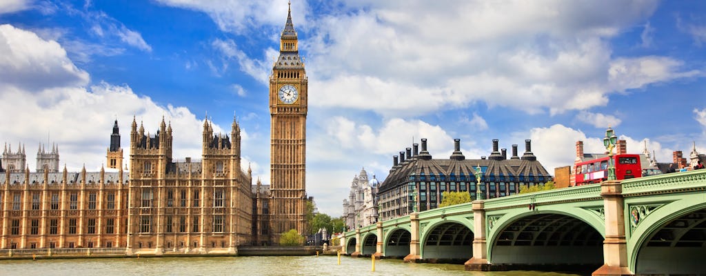 Private accessible London highlights tour