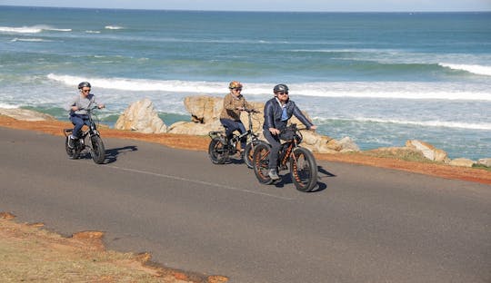 Ciudad del Cabo: e-bike tour Península del Cabo