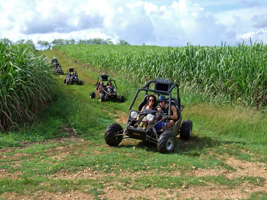 Crazy Wheels Quad & Buggy Ride