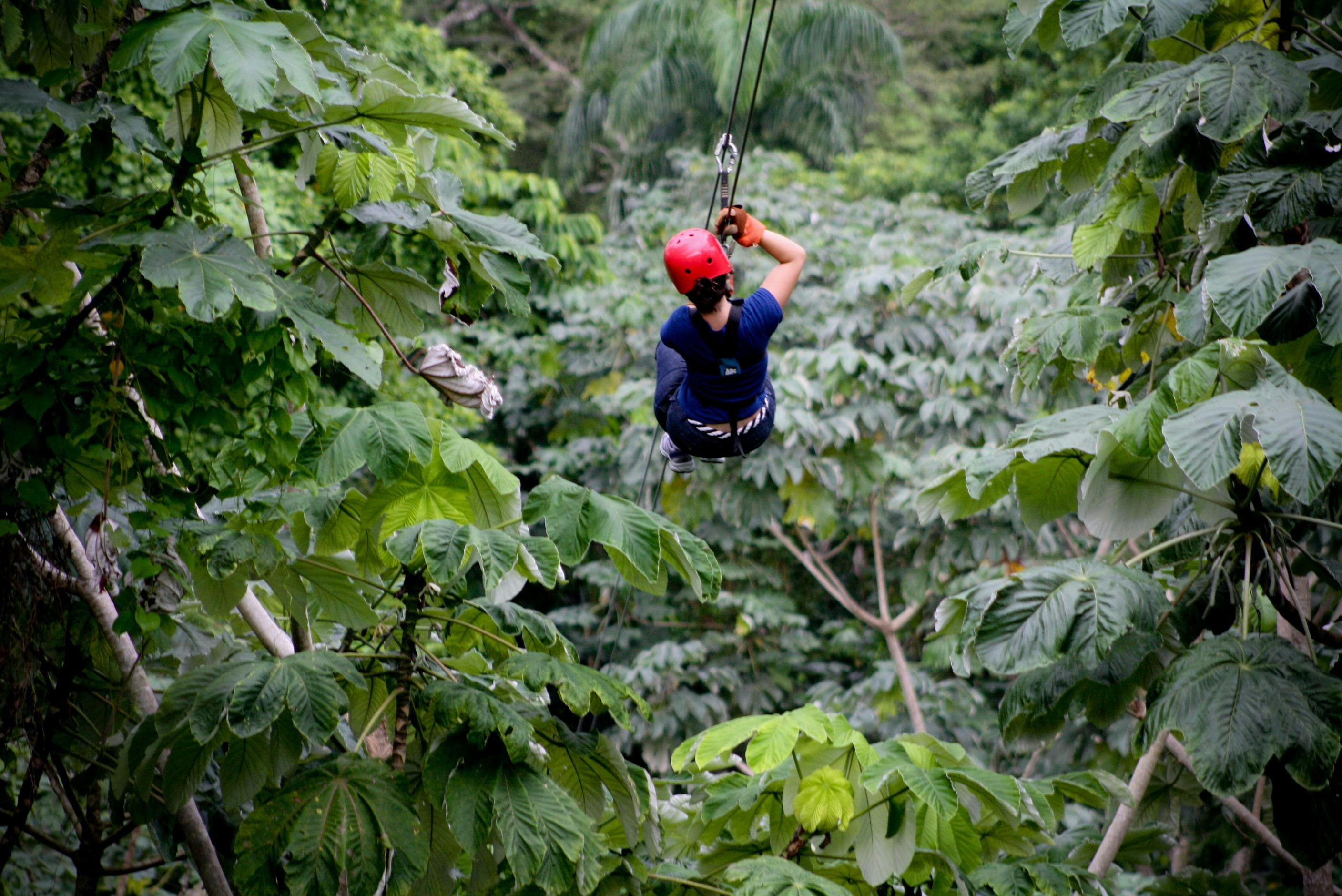 Forest Zipline Adventure Experience