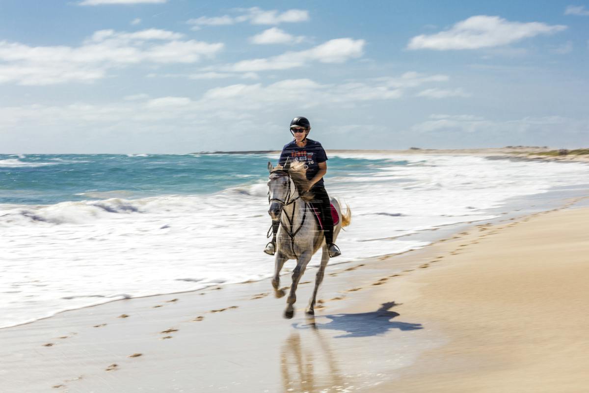 Horse Riding