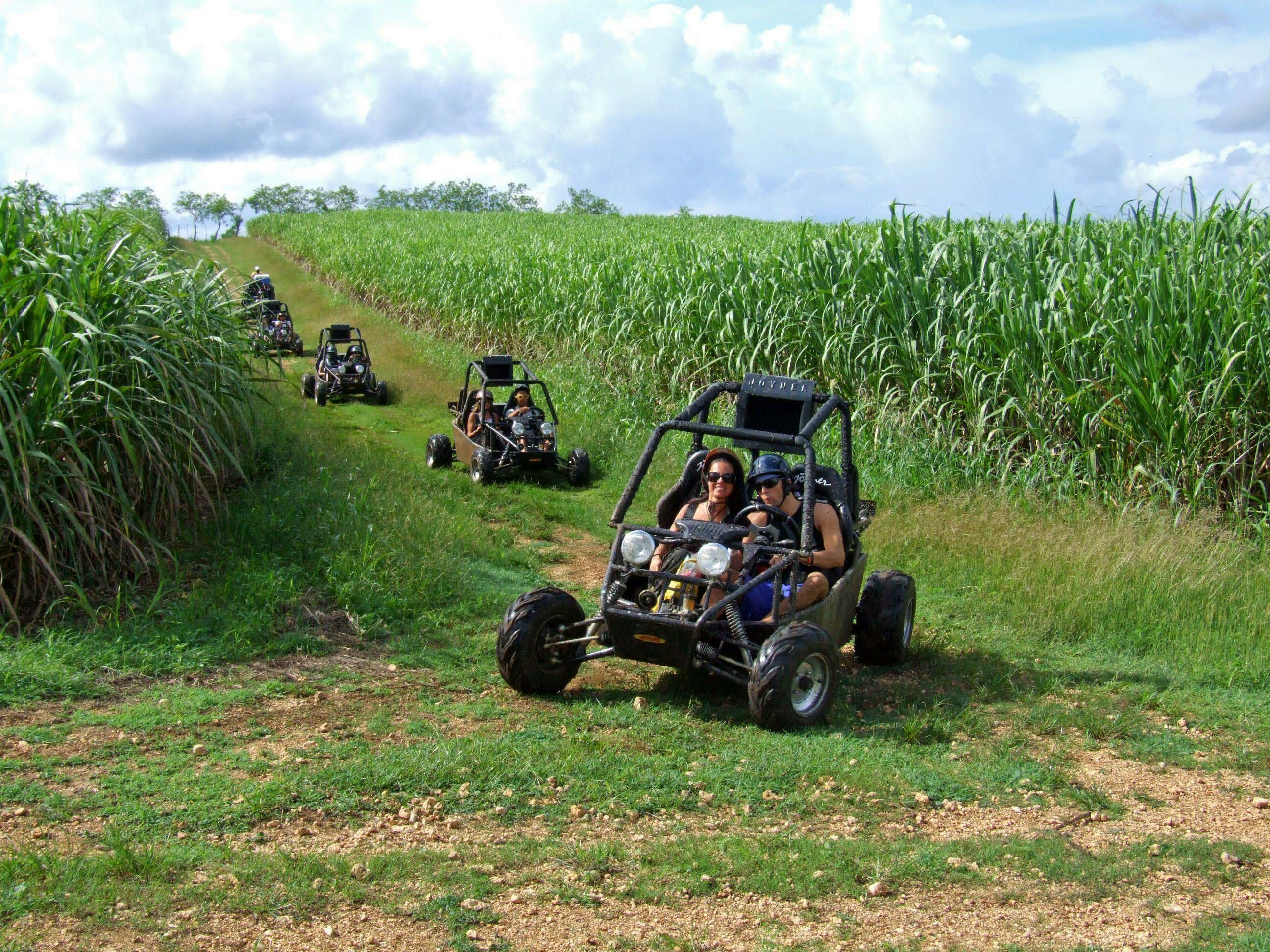 Crazy Wheels Quad- en Buggyrit