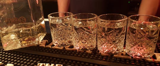Tour privato di degustazione di vodka a Varsavia