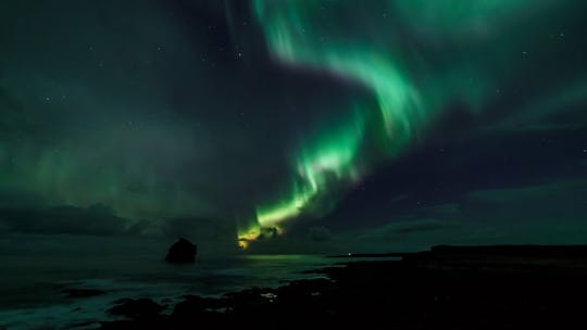 Tour combinato di avvistamento di balene e aurora boreale da Reykjavik