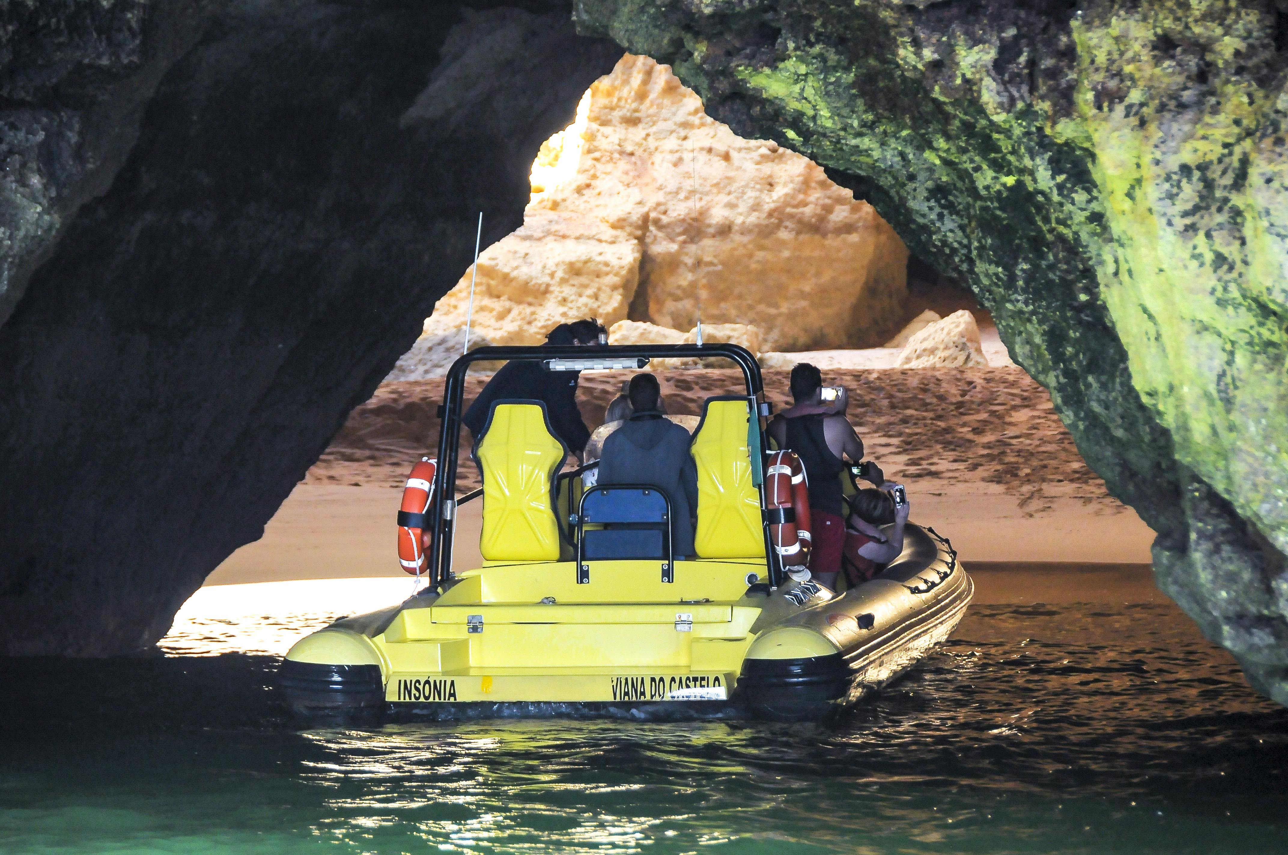 Dolphin watching and sea caves