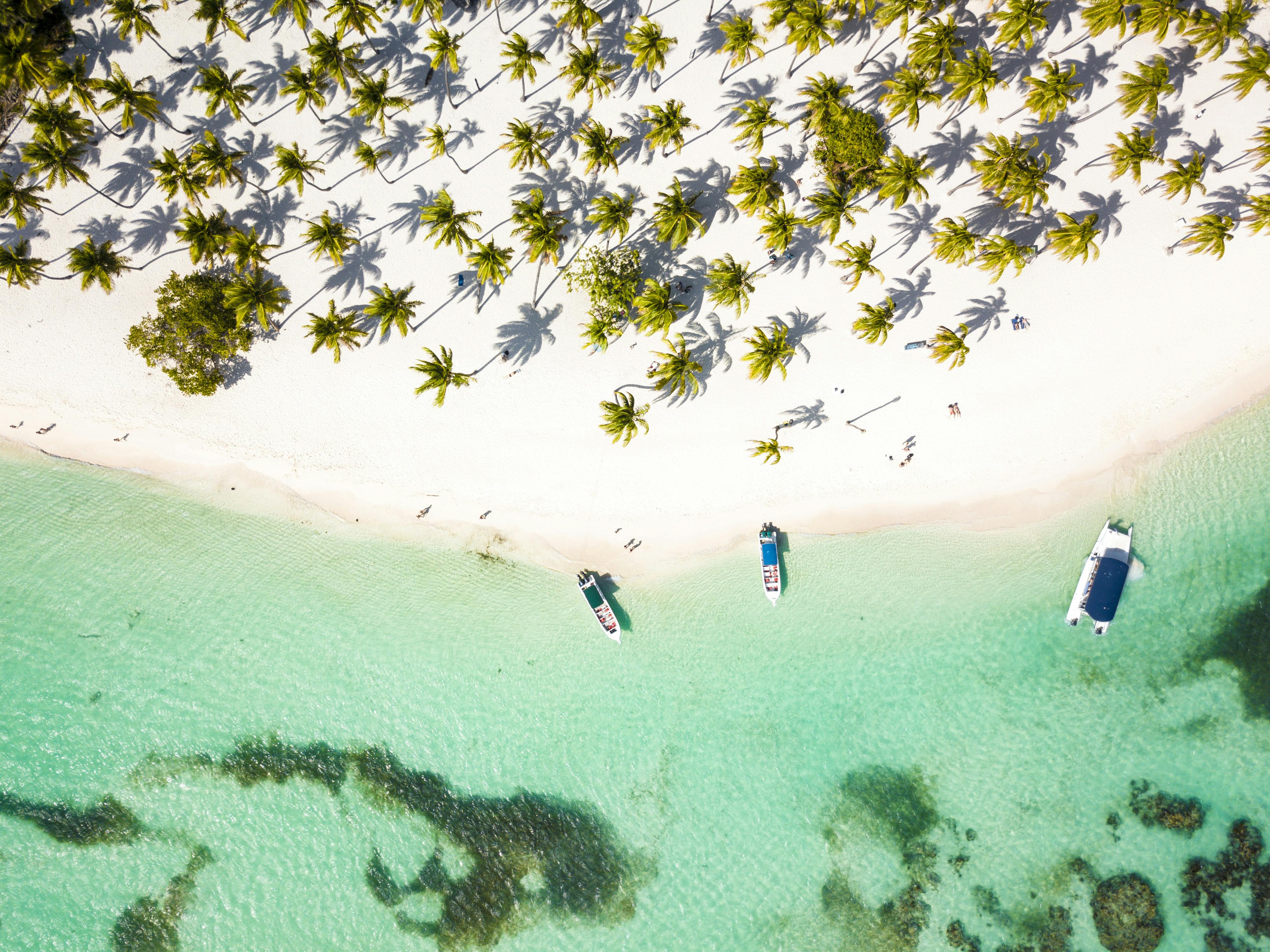 TUI collection in Punta Cana | musement