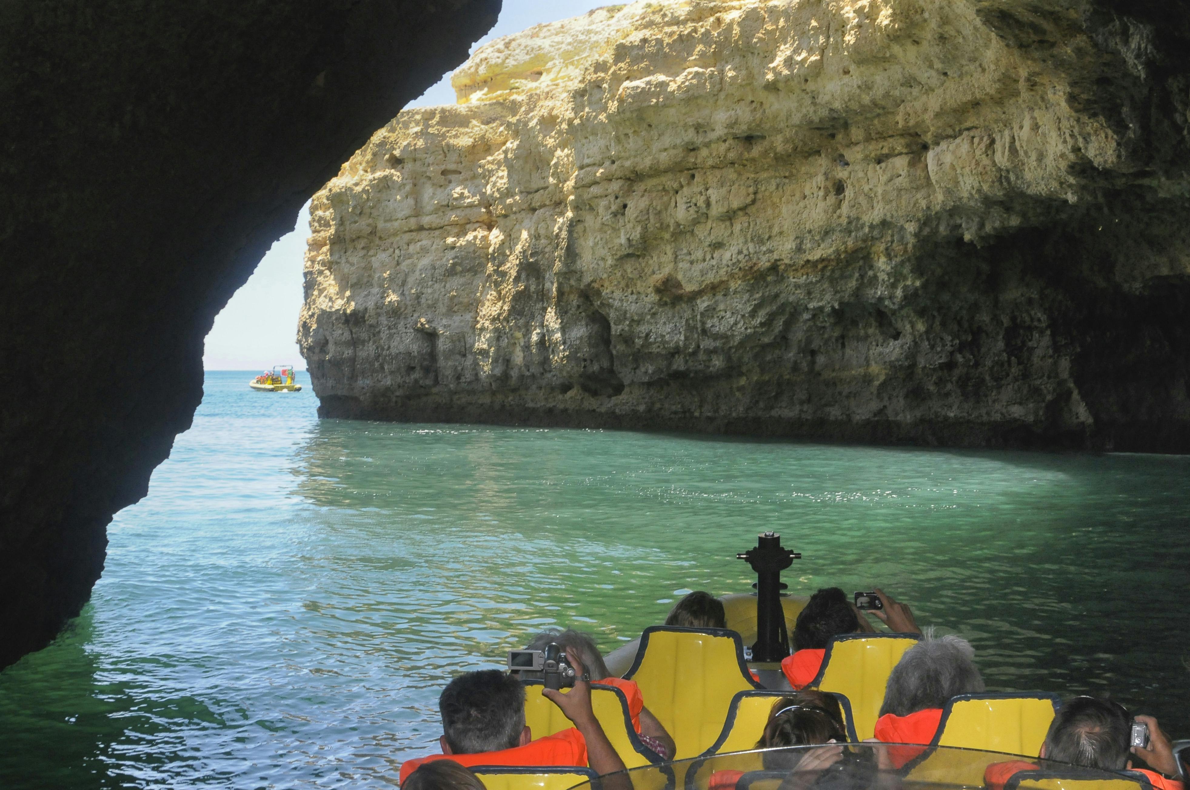Dolphin watching and sea caves