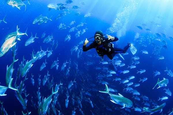 Los Cabos Certified Diver Tour