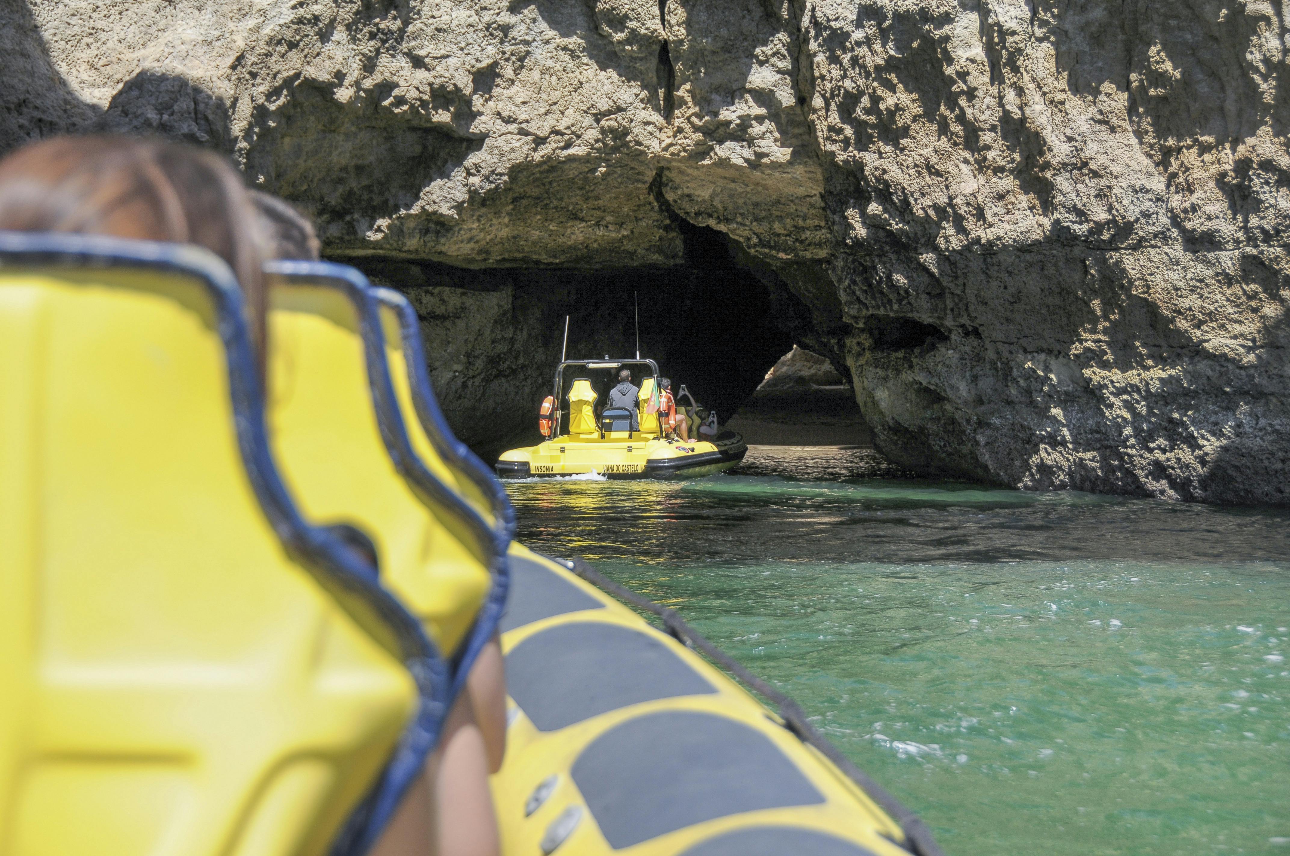 Dolphin watching and sea caves