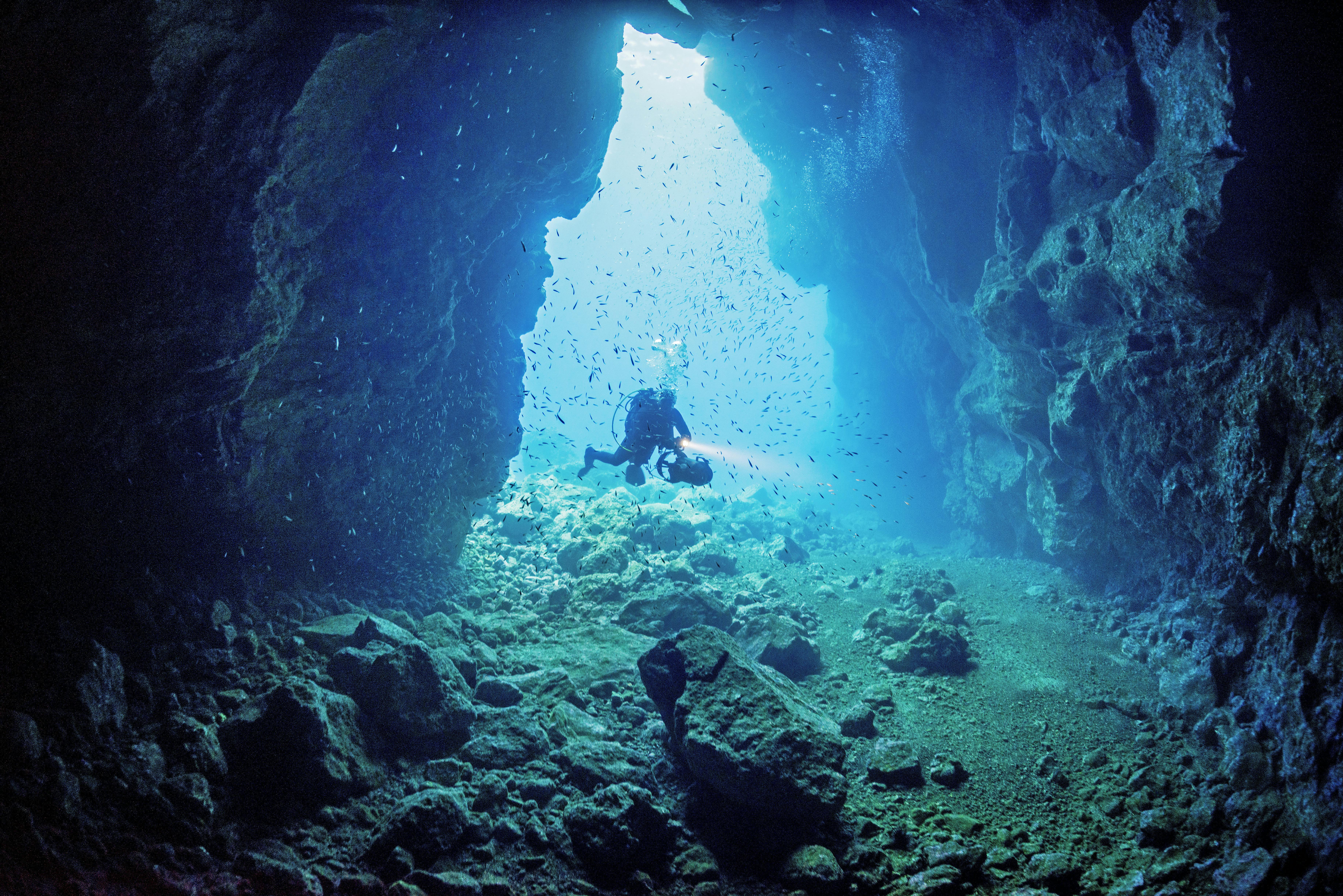 Discover Scuba Diving in Madeira Ticket