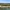 The Pont du Gard