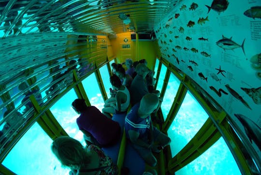 Semi-Submarine Boat Trip