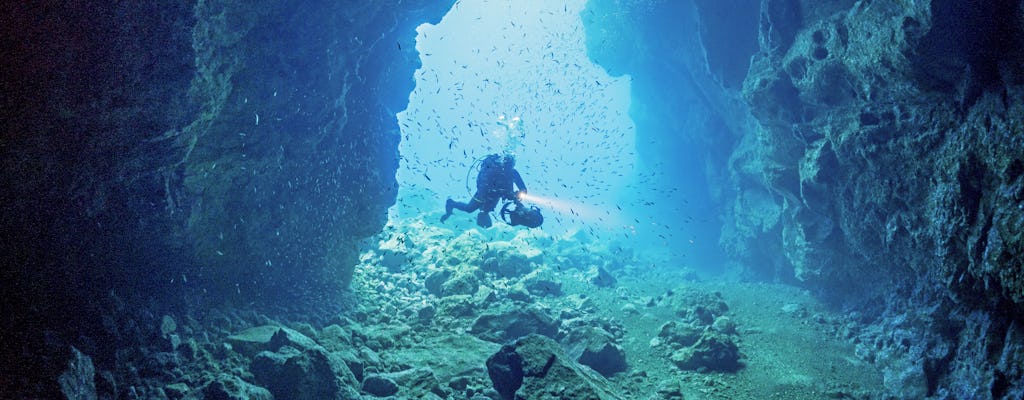 Billet de découverte de la plongée sous-marine à Madère