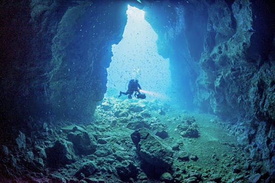Billet de découverte de la plongée sous-marine à Madère