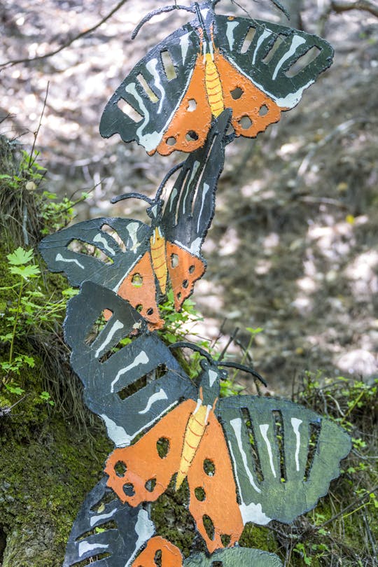 Butterflies and Chalki Island