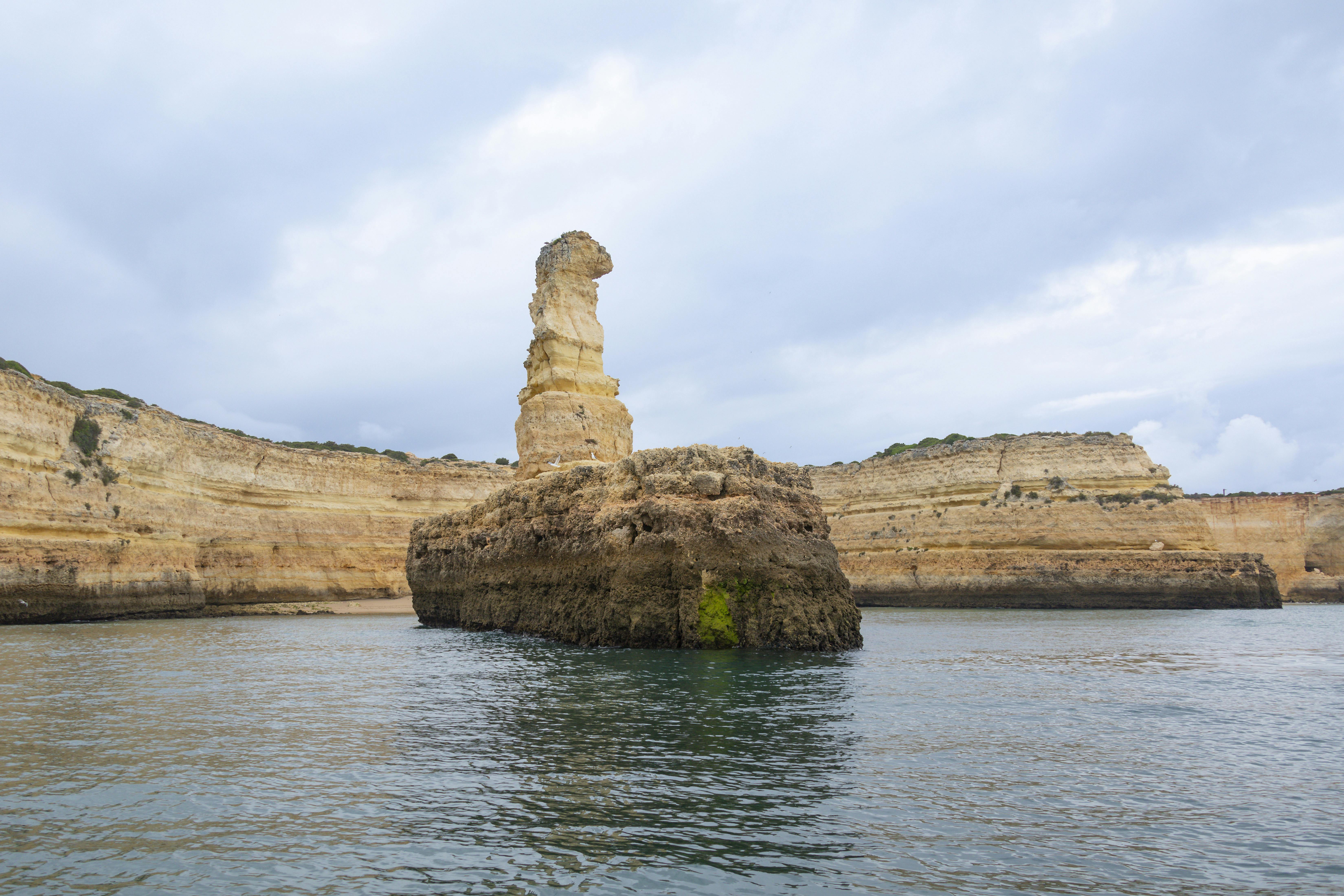 Dreamer Caves and Dolphins - Ticket Only