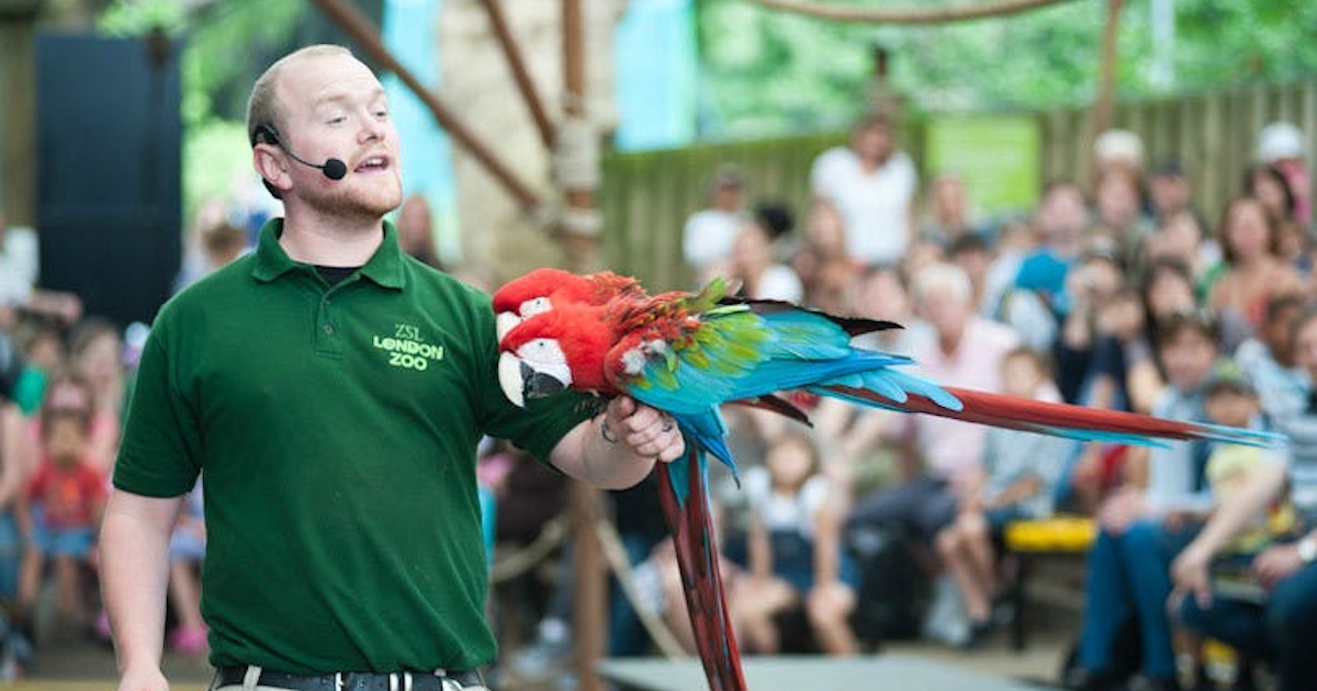 ZSL London Zoo, tickets, passes and experiences