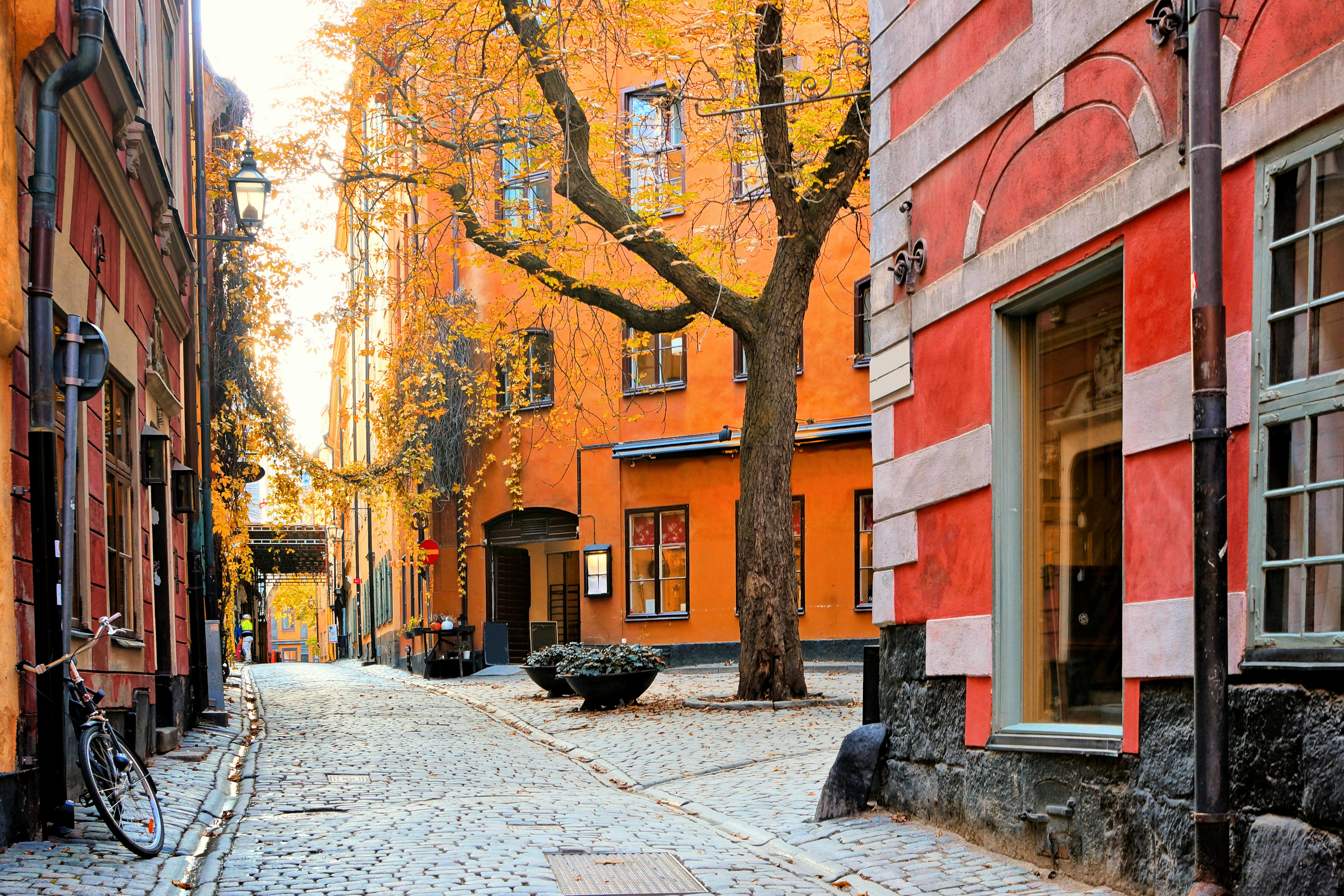 Wycieczka rowerem po SoFo w Sztokholmie