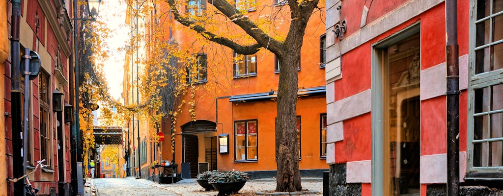 Tour de Stockholm en vélo électrique SoFo