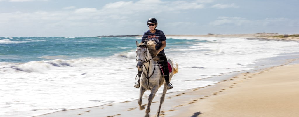 Balade à cheval en République dominicaine