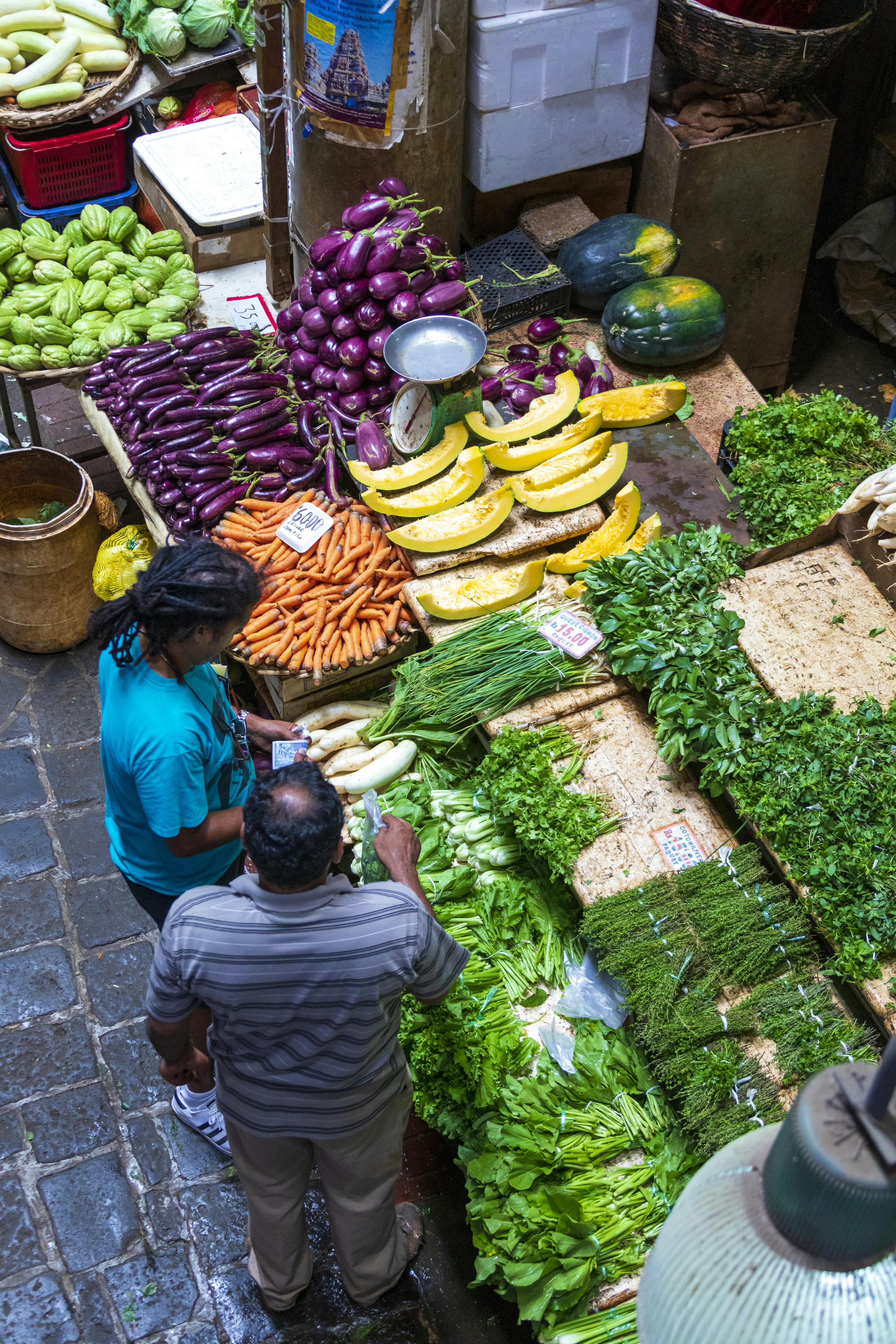 Mauritius North Island Tour