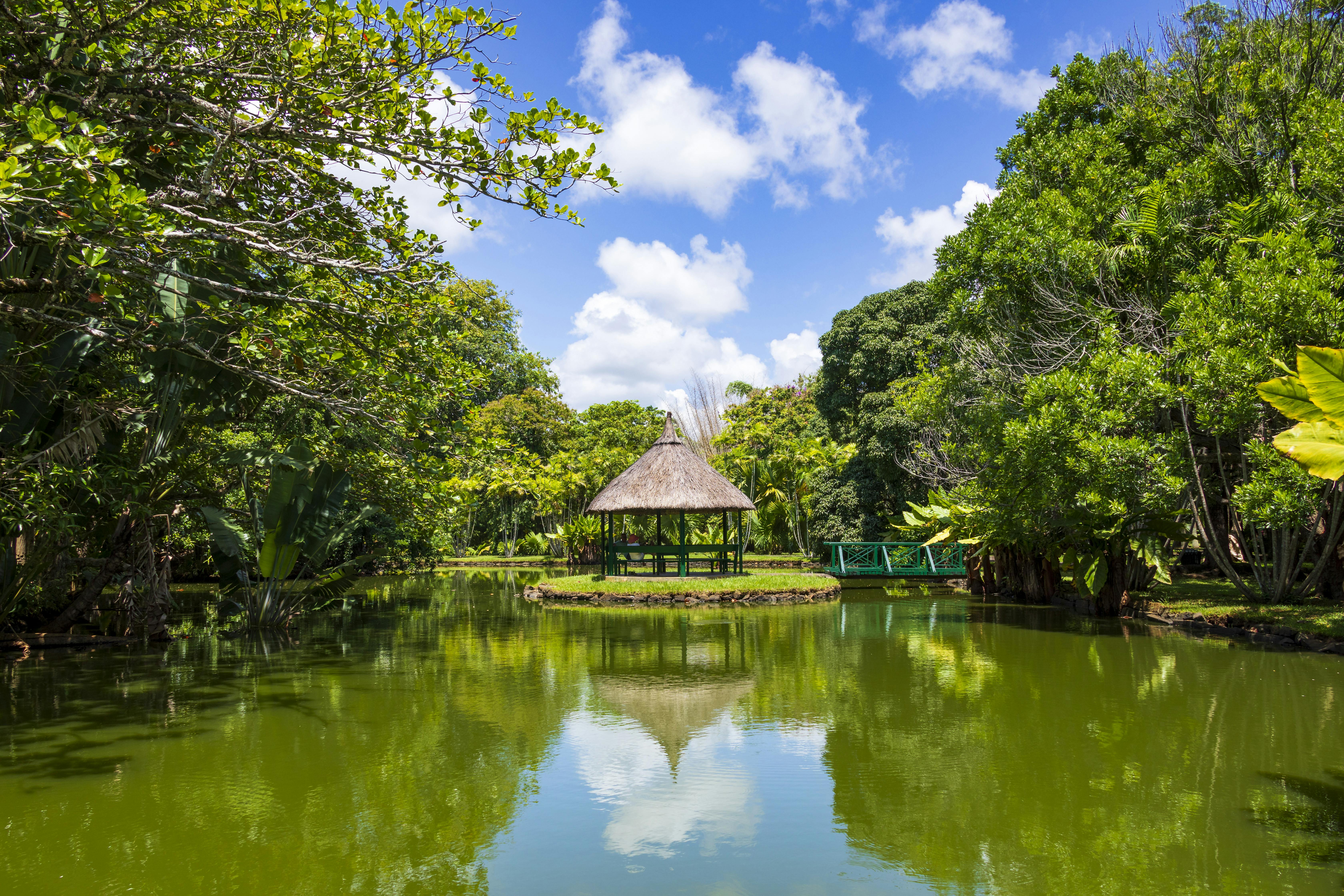 Mauritius North Island Tour