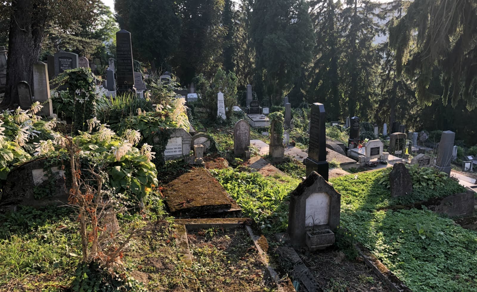 cemetery-sighisoara2.jpg