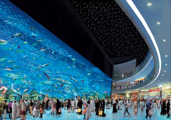 Bilhetes VIP de um dia para o Aquário de Dubai e o Zoológico Subaquático
