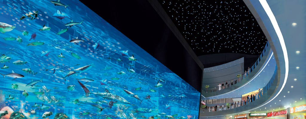Biglietti giornalieri VIP per l'acquario di Dubai e lo zoo sottomarino