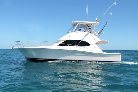 Marina of Cap Cana Fishing Experience