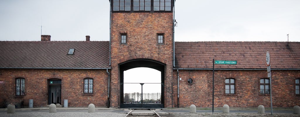 Auschwitz-Birkenau individual tour by minivan from Krakow