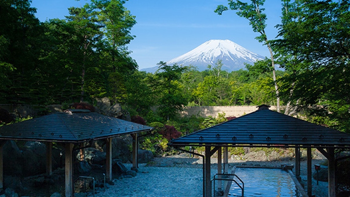 Mount Fuji with Onsen hot springs tour | musement