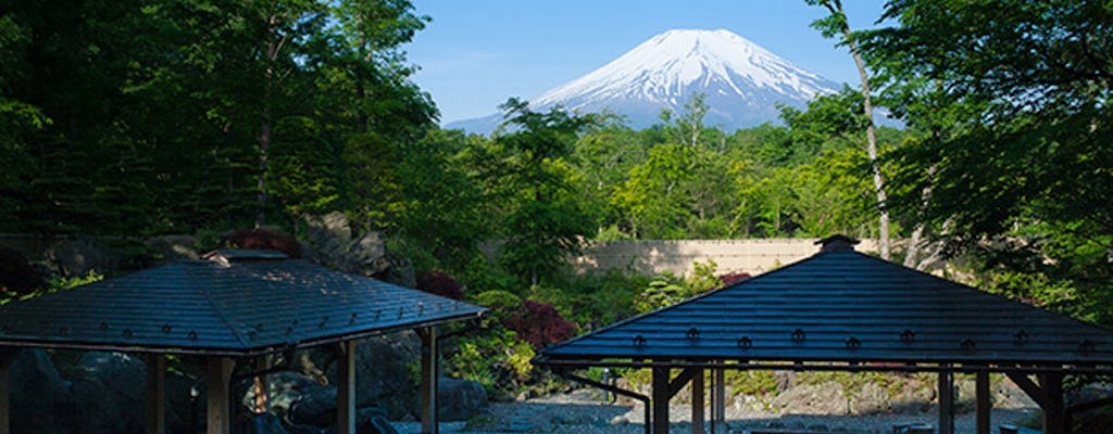 Excursión al monte Fuji con aguas termales de Onsen