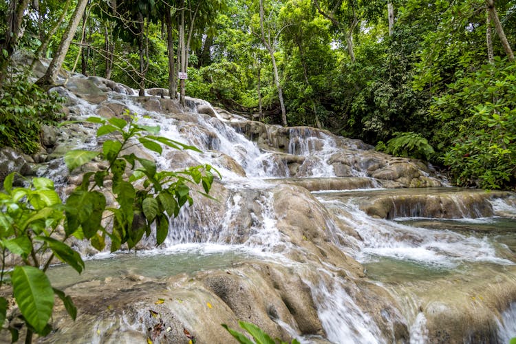 Dunn's River Falls & Nine Mile Tour