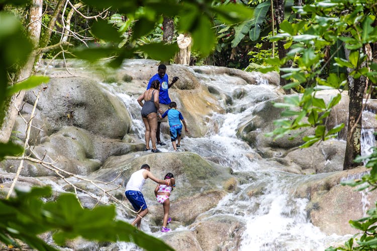 Dunn's River Falls & Nine Mile Tour