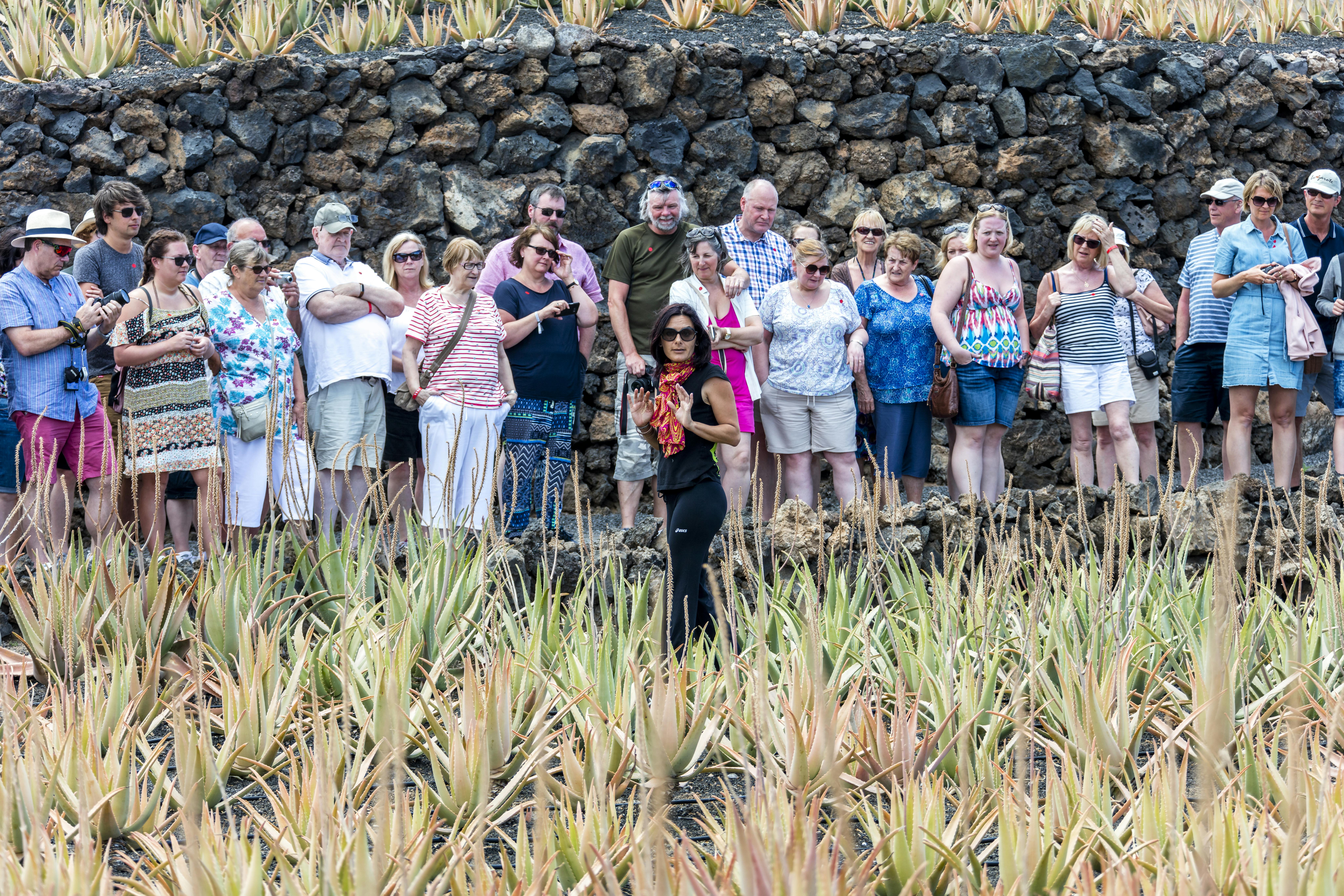 Aloe Park Tenerife | musement