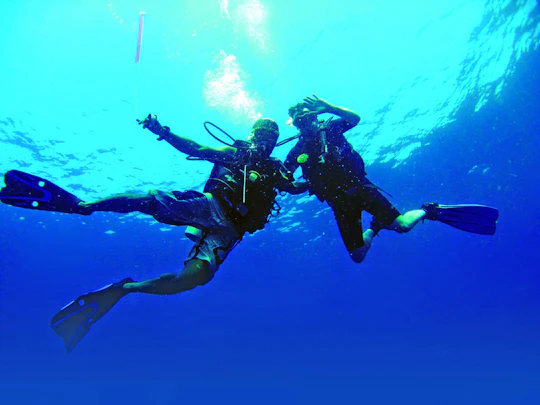 Scuba Diving Experiences for Certified Divers