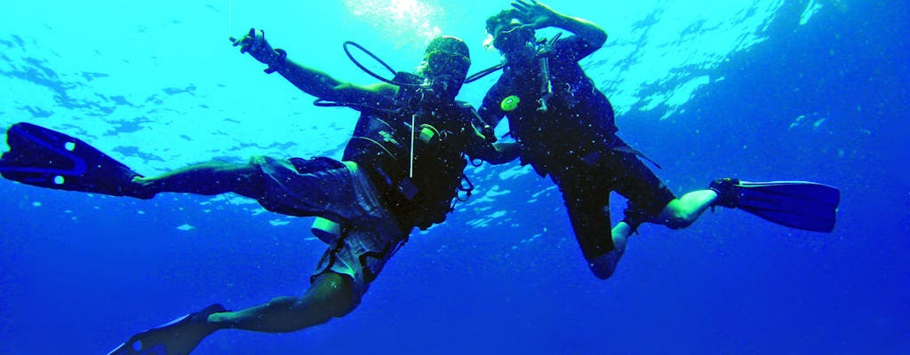 Scuba Diving Experiences
