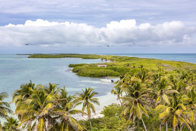 Isla Contoy & Isla Mujeres Boat Cruise