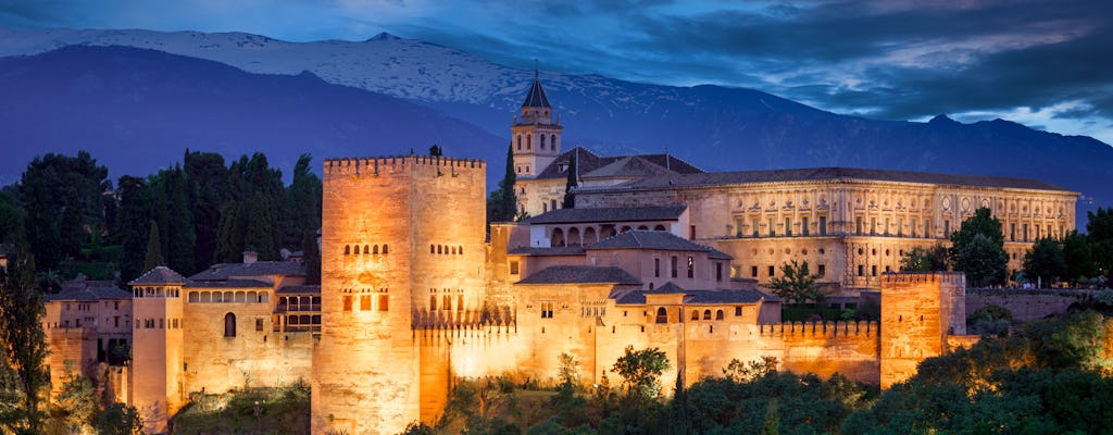 Alhambra by night tour con Palacios Nazaríes