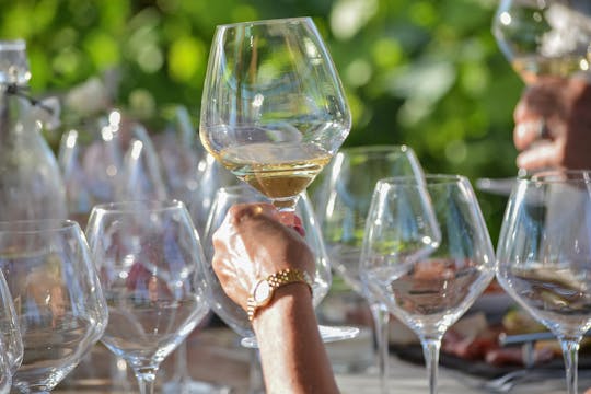 Degustação vertical de vinhos e aperitivos no Tenuta Torciano