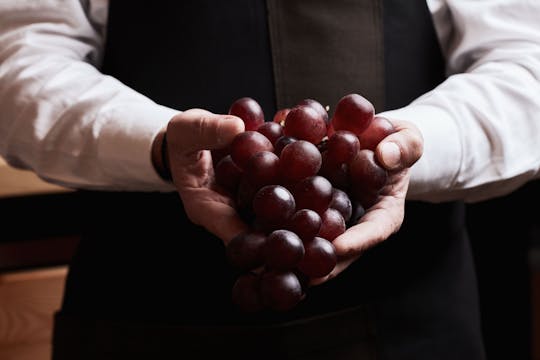 Najlepiej oceniana degustacja win pod Akropolem