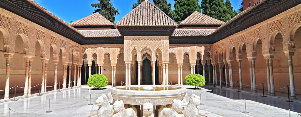 Alhambra guided group tour with Nasrid Palaces and Generalife Palace