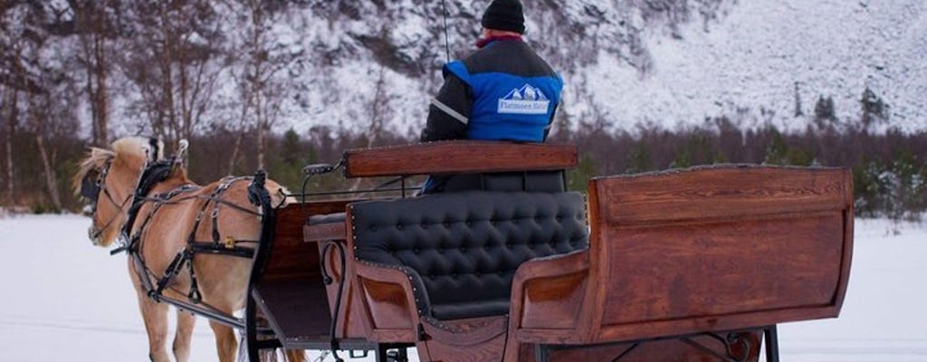 Pferdeschlittenfahrt in der arktischen Landschaft