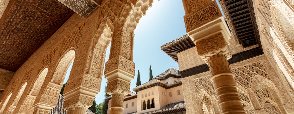 Tour privado pela Alhambra com Palácios Nasridas e Palácio de Generalife