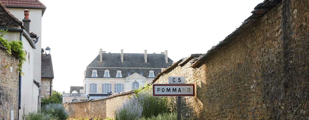 Experiencia de Borgoña, visita y cata de vinos en el castillo de Pommard