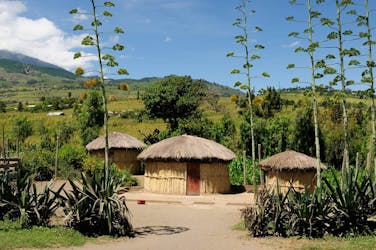 Visita del villaggio di Ng’iresi da parte del Kilimangiaro