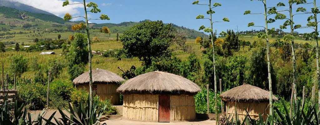 НГ село'iresi визит Килиманджаро