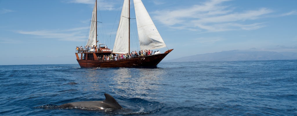 Shogun Boat Trip to Los Gigantes Cliffs